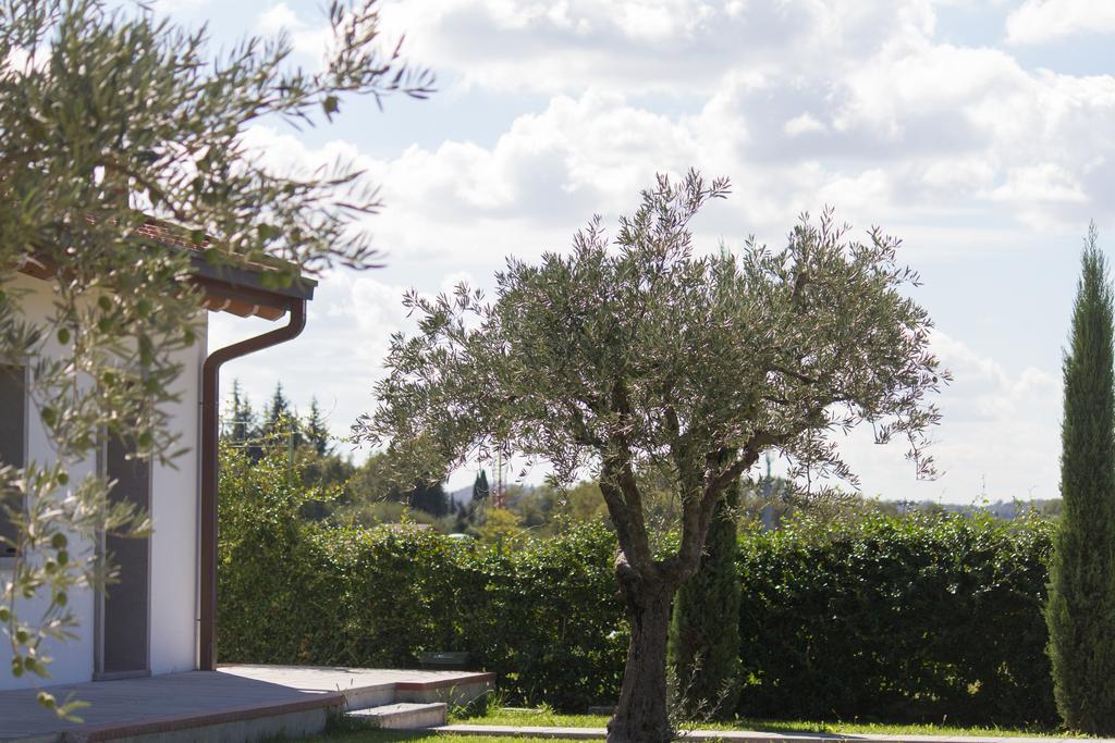 La Bertanigra Appartement Padenghe sul Garda Buitenkant foto